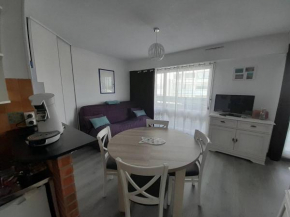 Cosy studio rénové proche océan avec parking - FR-1-324A-58